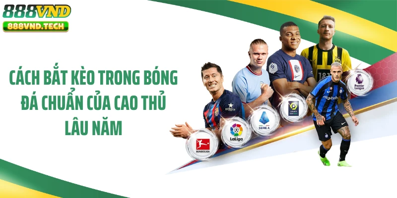 Cách Bắt Kèo Trong Bóng Đá Chuẩn Của Cao Thủ Lâu Năm