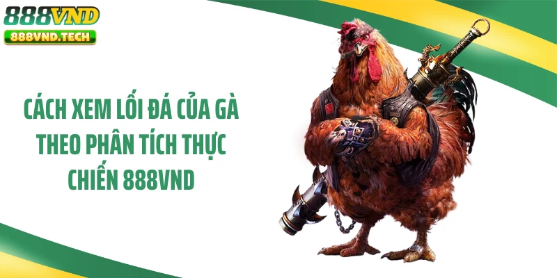 Cách Xem Lối Đá Của Gà Theo Phân Tích Thực Chiến 888VND