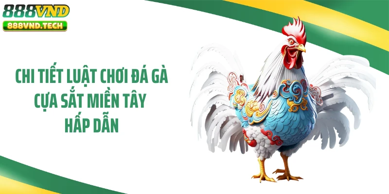 Chi tiết luật chơi đá gà cựa sắt miền Tây hấp dẫn