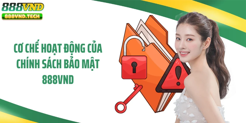 Cơ chế hoạt động của chính sách bảo mật 888VND