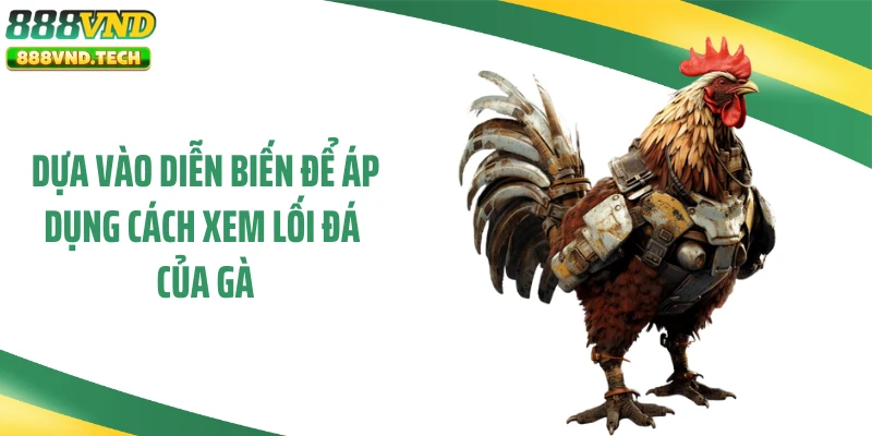 Dựa vào diễn biến để áp dụng cách xem lối đá của gà