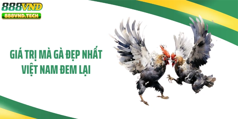 Giá trị mà gà đẹp nhất Việt Nam đem lại