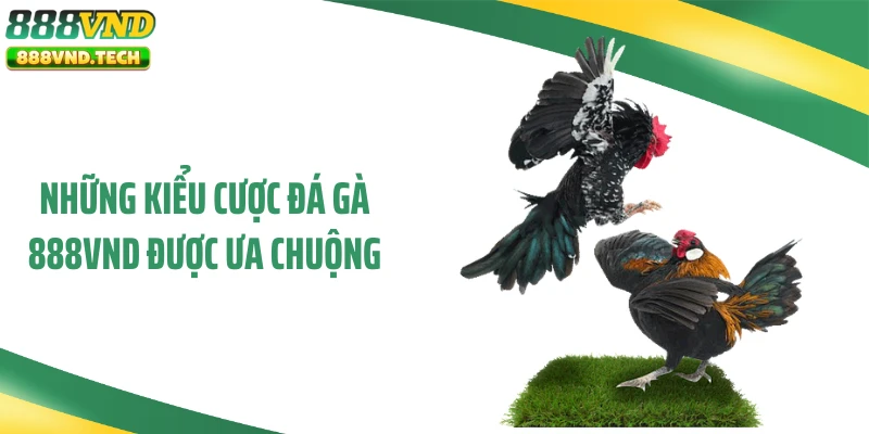 Những kiểu cược đá gà 888VND được ưa chuộng